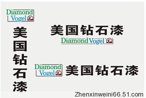 公司介绍